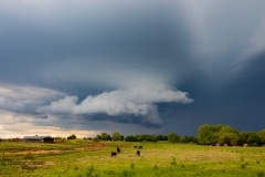 13 maggio 2019 severe thunderstorm supercell near Chandler Oklahoma Tornado Tour StormWind